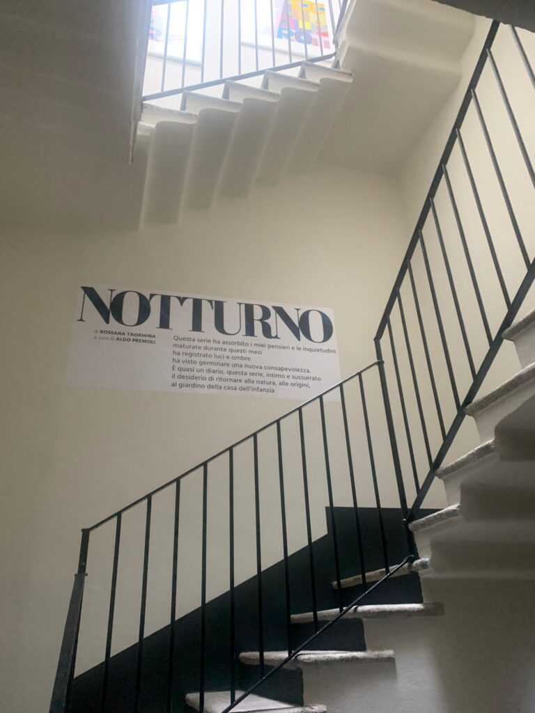 NOTTURNO 2